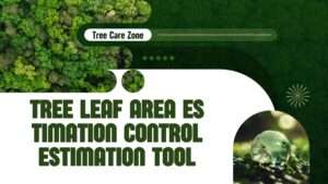 Tree Leaf Area Estimation Control Estimation Tool