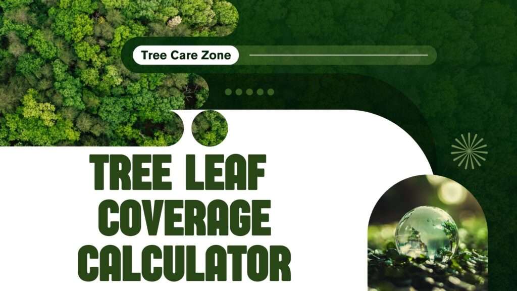 Tree Leaf Coverage Calculator