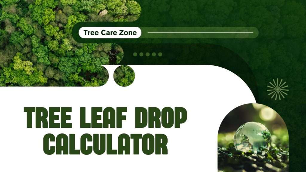 Tree Leaf Drop Calculator