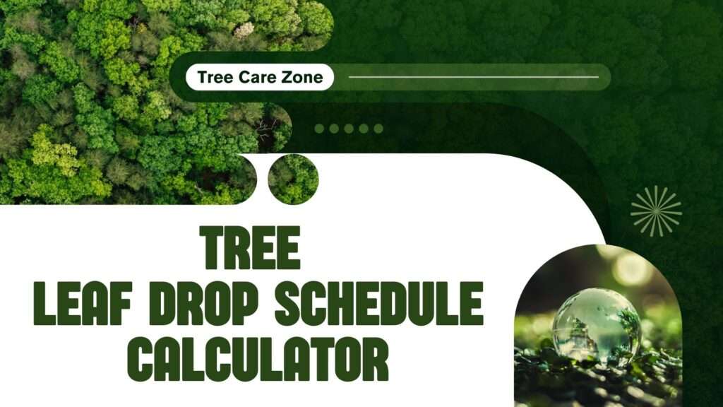 Tree Leaf Drop Schedule Calculator