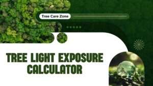 Tree Light Exposure Calculator