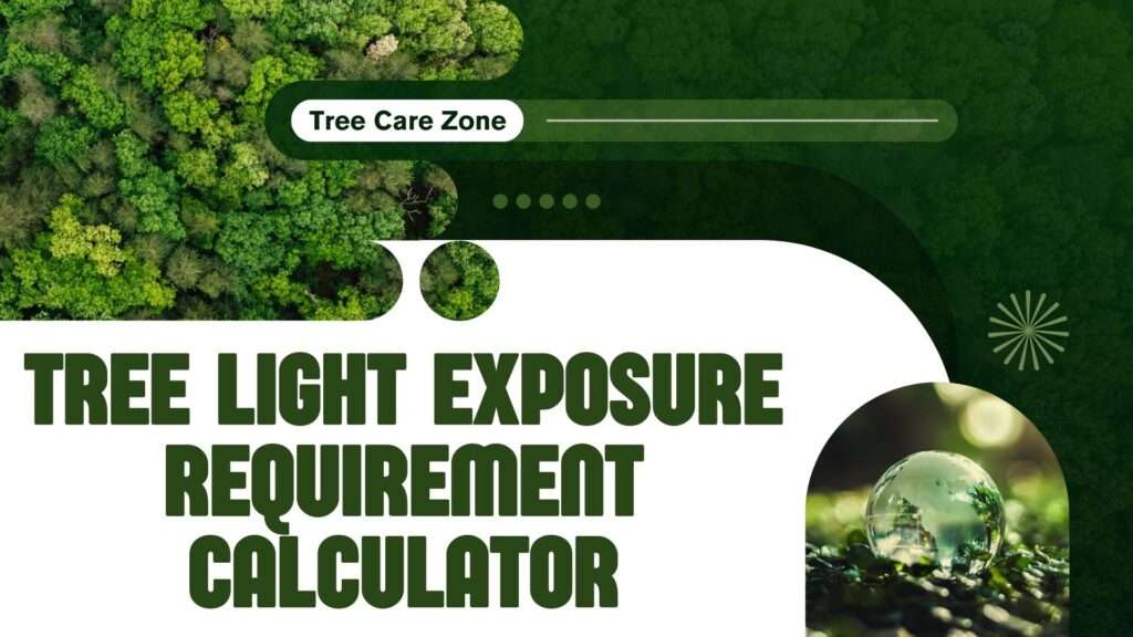 Tree Light Exposure Requirement Calculator