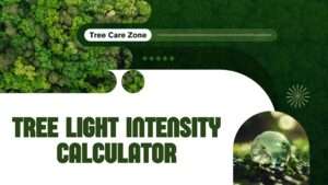 Tree Light Intensity Calculator