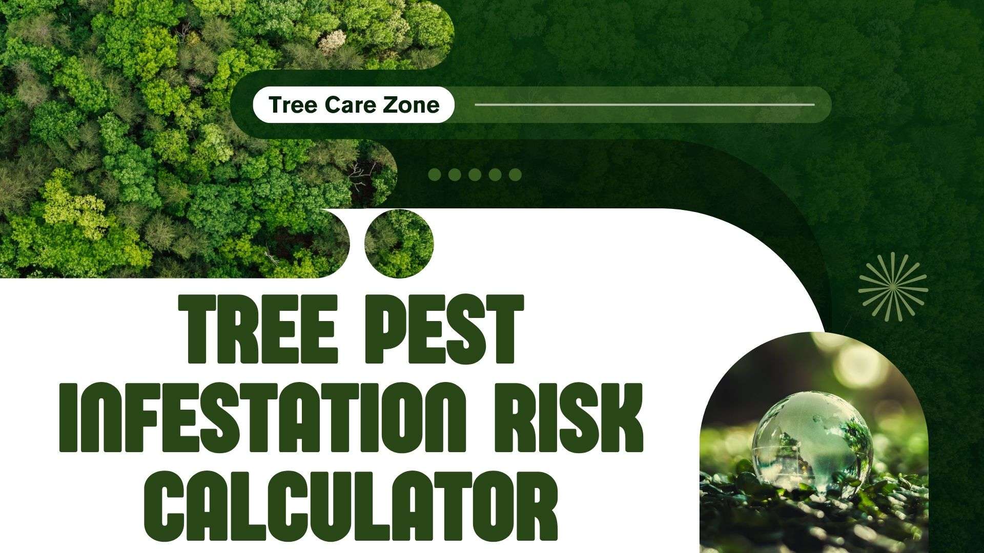 Tree Pest Infestation Risk Calculator: Assess Tree Risks