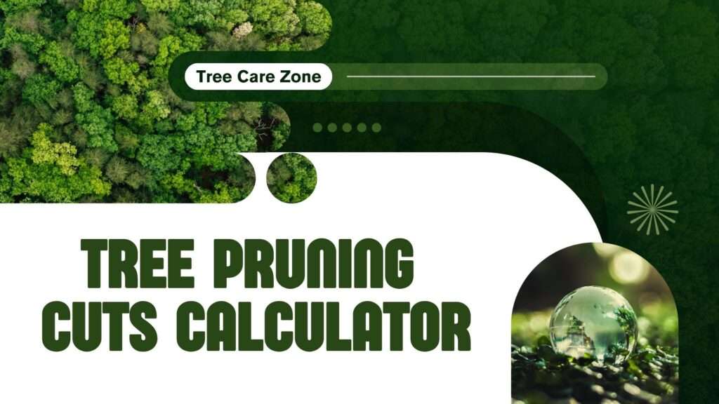 Tree Pruning Cuts Calculator