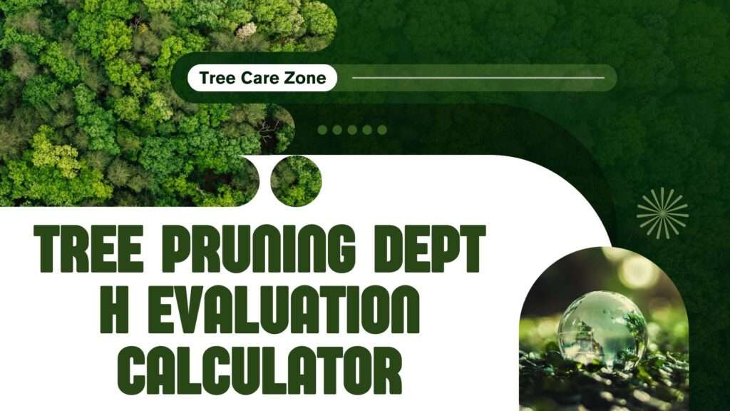 Tree Pruning Depth Evaluation Calculator