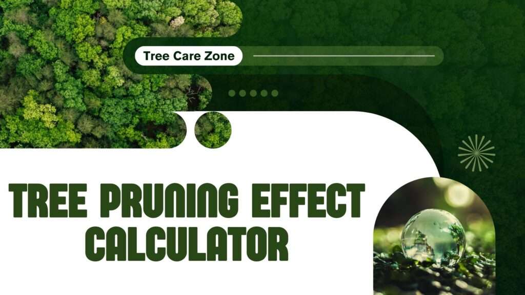 Tree Pruning Effect Calculator