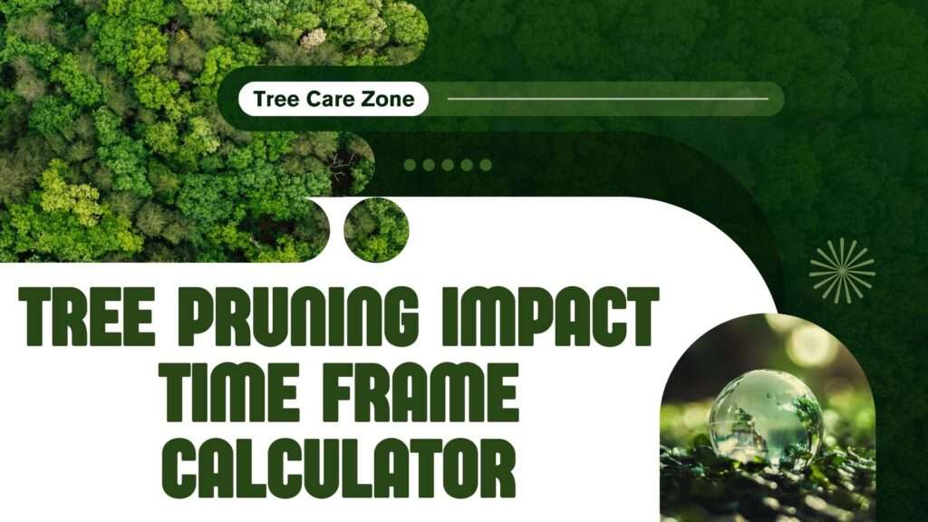 Tree Pruning Impact Time Frame Calculator