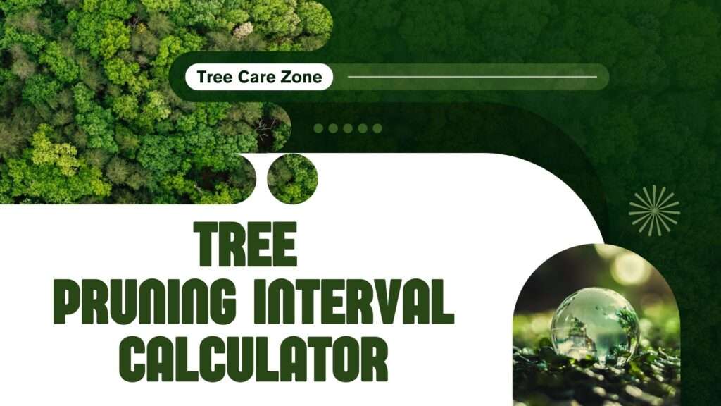 Tree Pruning Interval Calculator