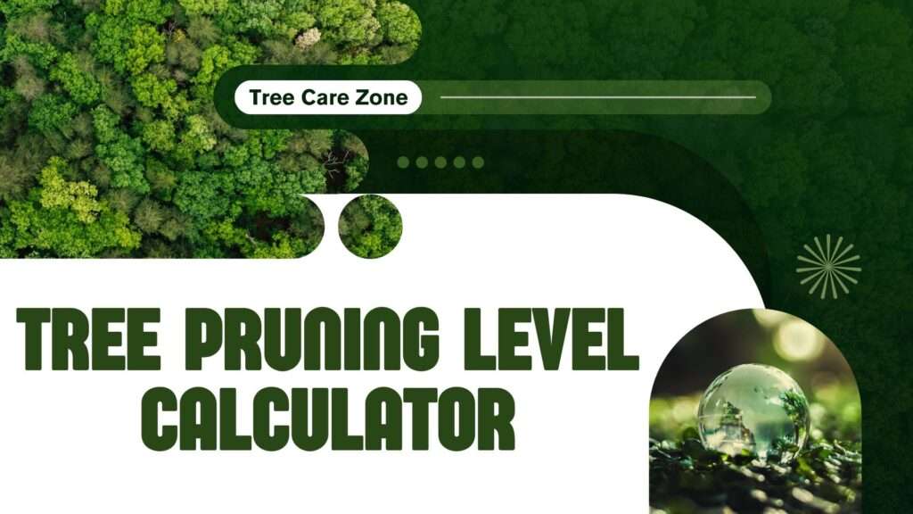 Tree Pruning Level Calculator