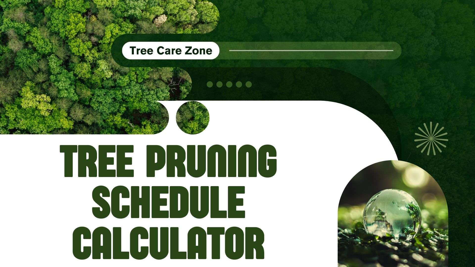 Tree Pruning Schedule Calculator for Optimal Tree Care