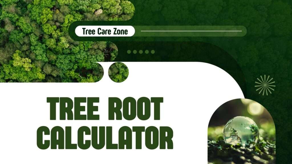 Tree Root Calculator
