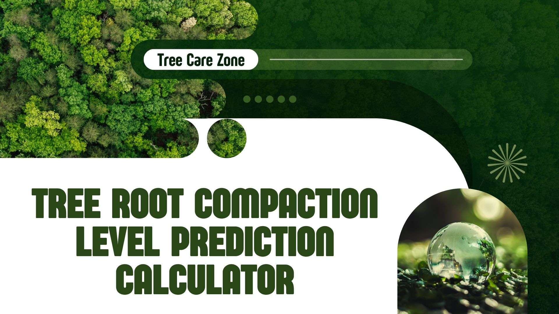 Tree Root Compaction Level Prediction Calculator Tool