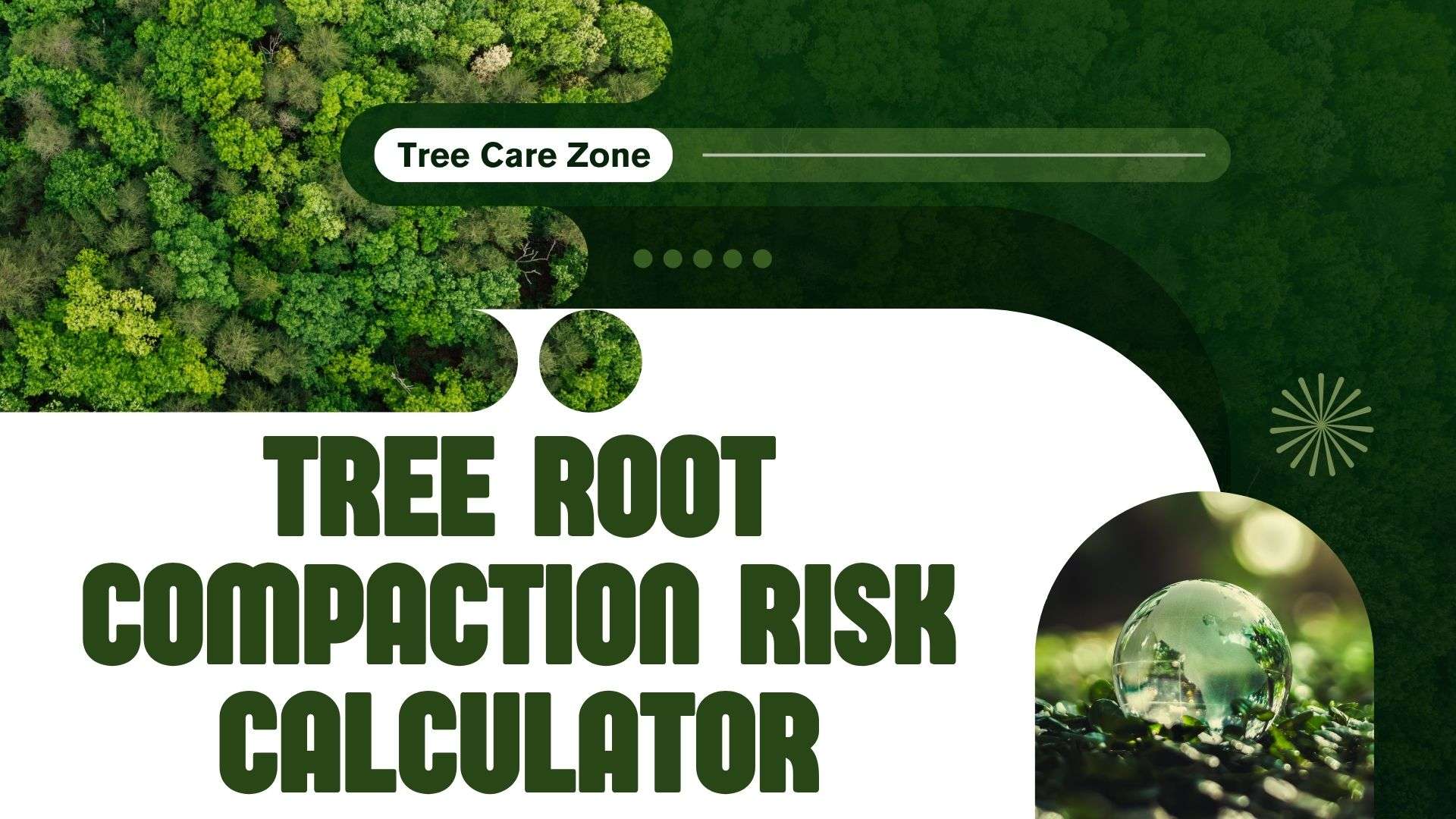 Tree Root Compaction Risk Calculator: Assess Tree Health