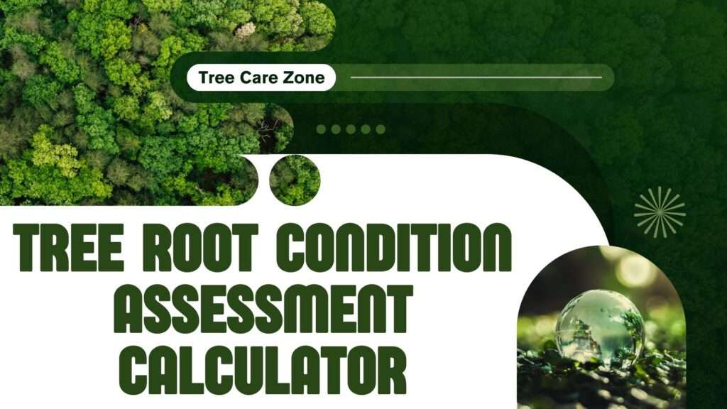 Tree Root Condition Assessment Calculator