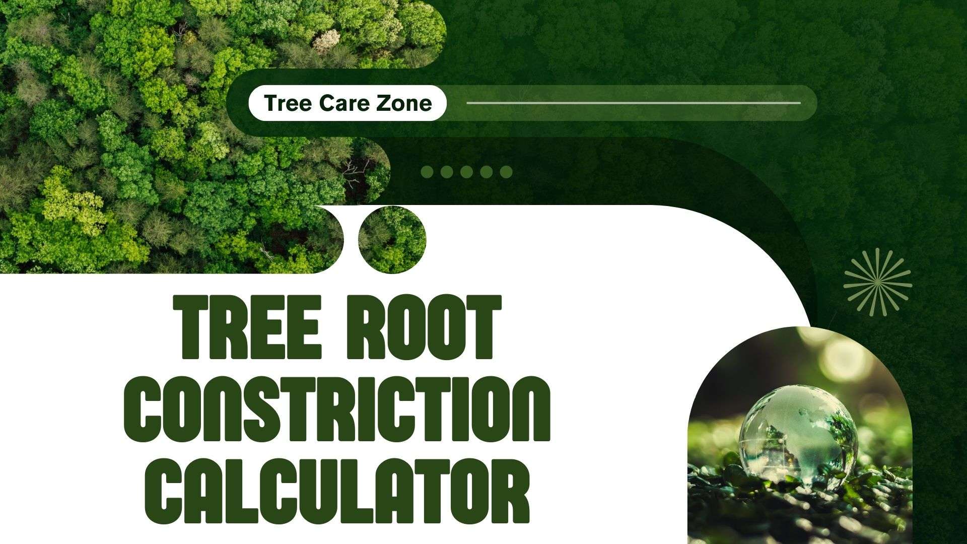 Constricted Tree Root Area Tree Root Constriction Calculator for Tree Care