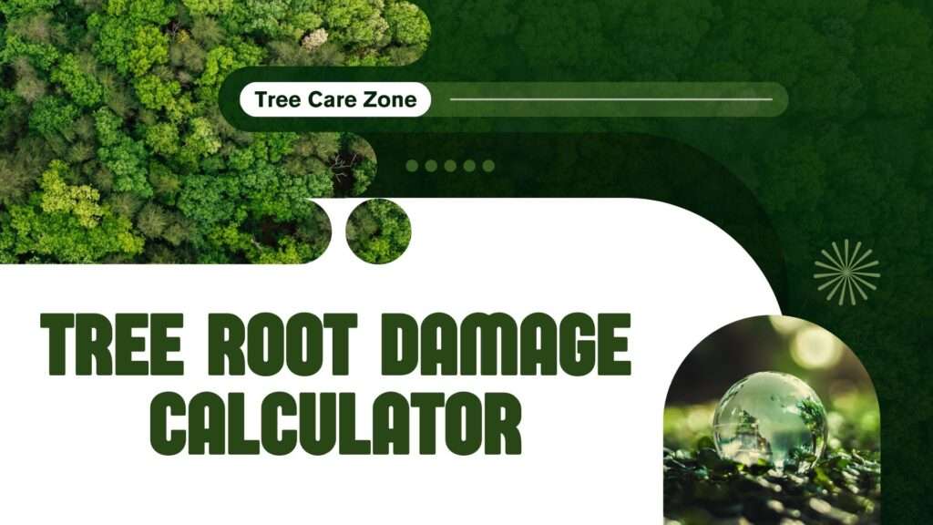 Tree Root Damage Calculator
