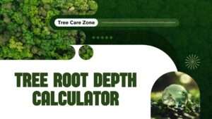 Tree Root Depth Calculator