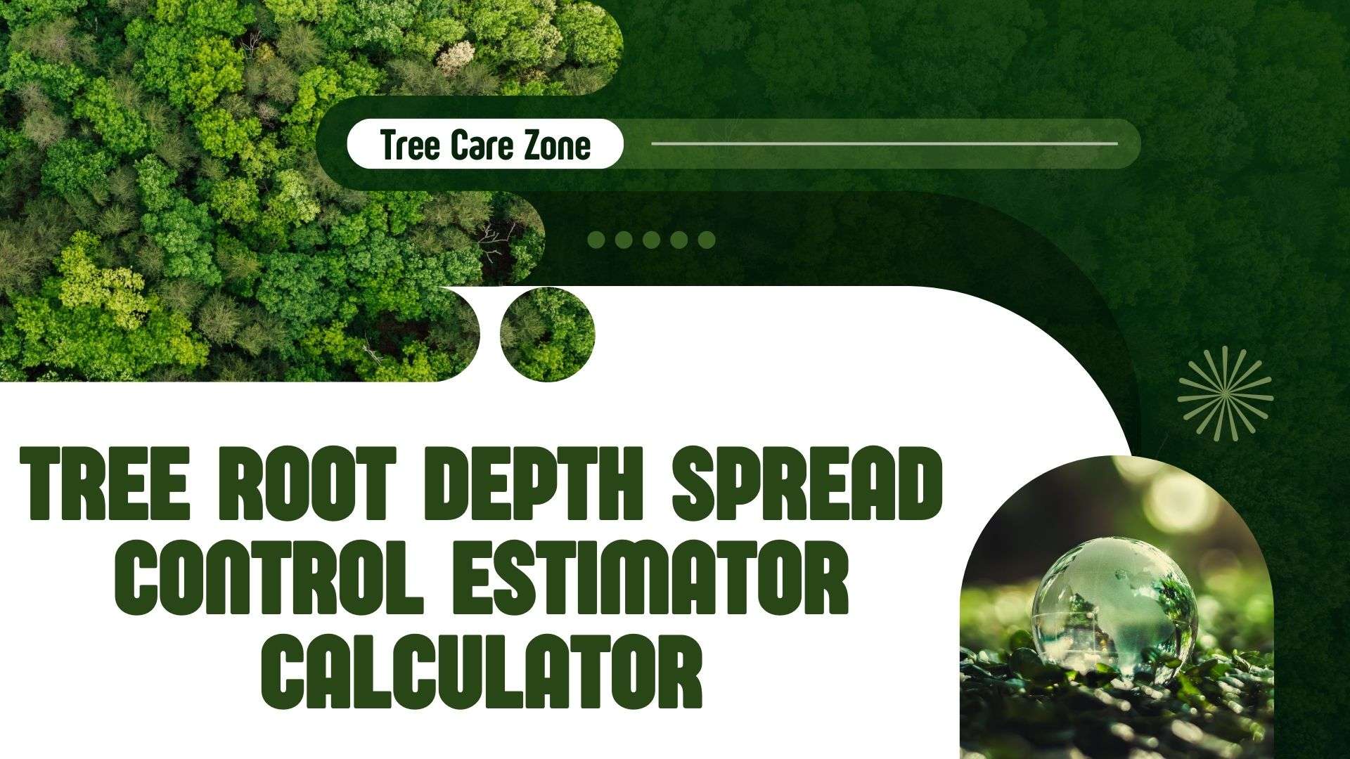 Tree Roots Spread Distance Tree Root Depth Spread Control Estimator Calculator Guide