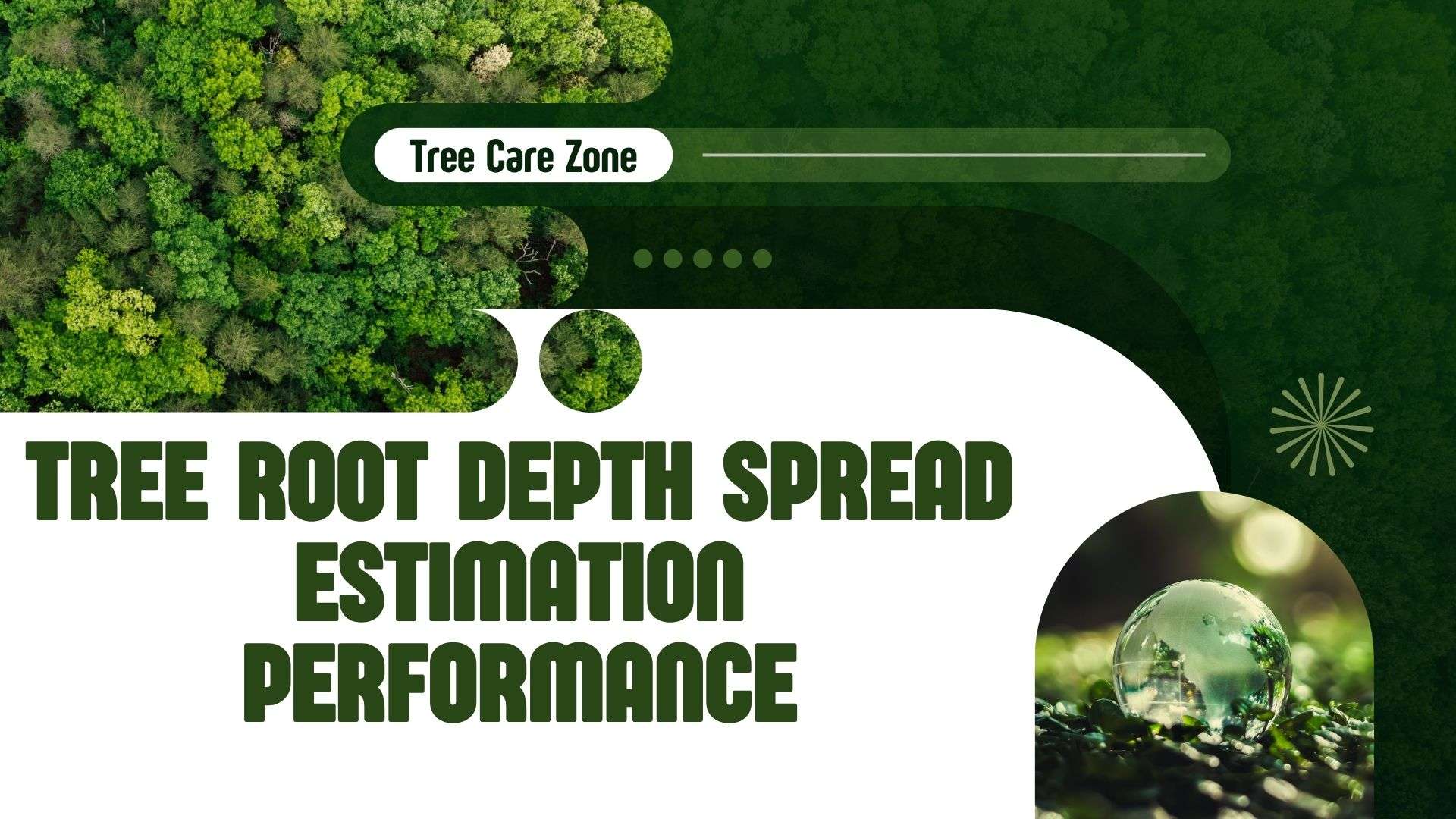 Tree Root Depth Spread Estimation Performance Tool