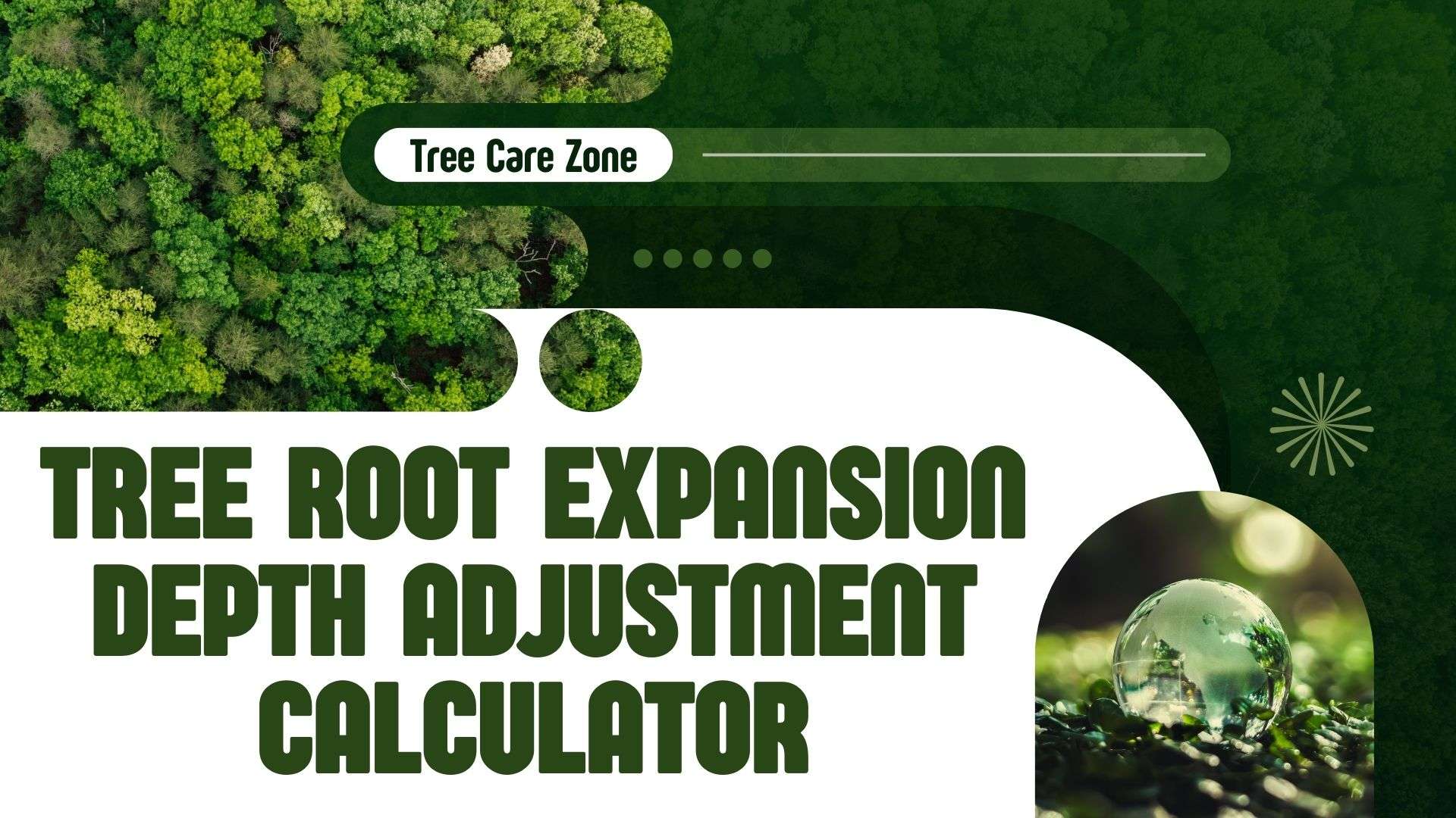 Tree Root Depth Tree Root Expansion Depth Adjustment Calculator Guide