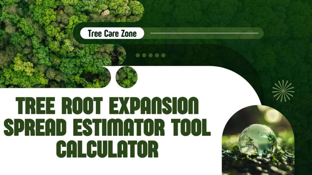 Tree Root Expansion Spread Estimator Tool Calculator