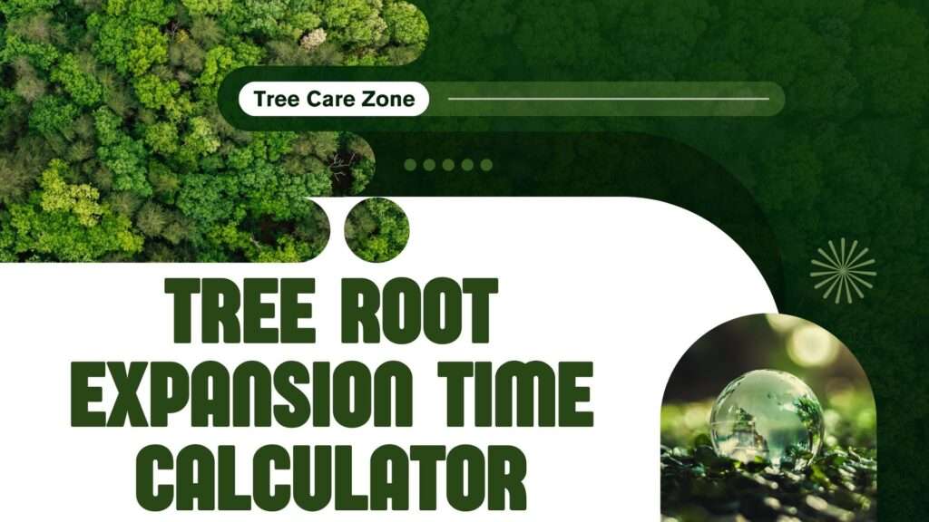 Tree Root Expansion Time Calculator