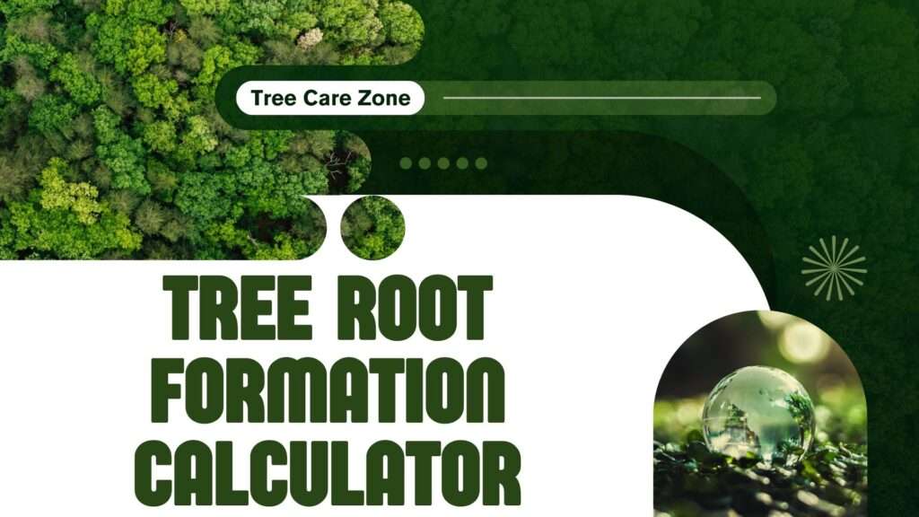 Tree Root Formation Calculator