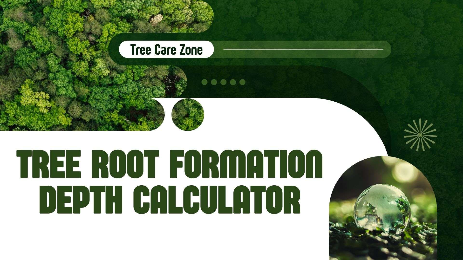 Tree Root Formation Depth Calculator - Plan Smart