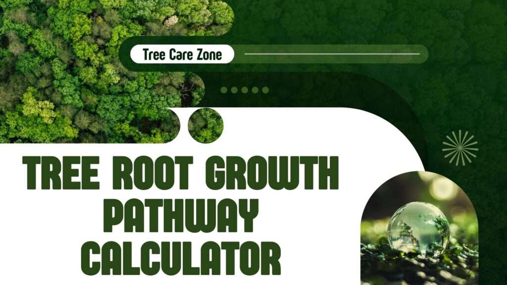 Tree Root Growth Pathway Calculator
