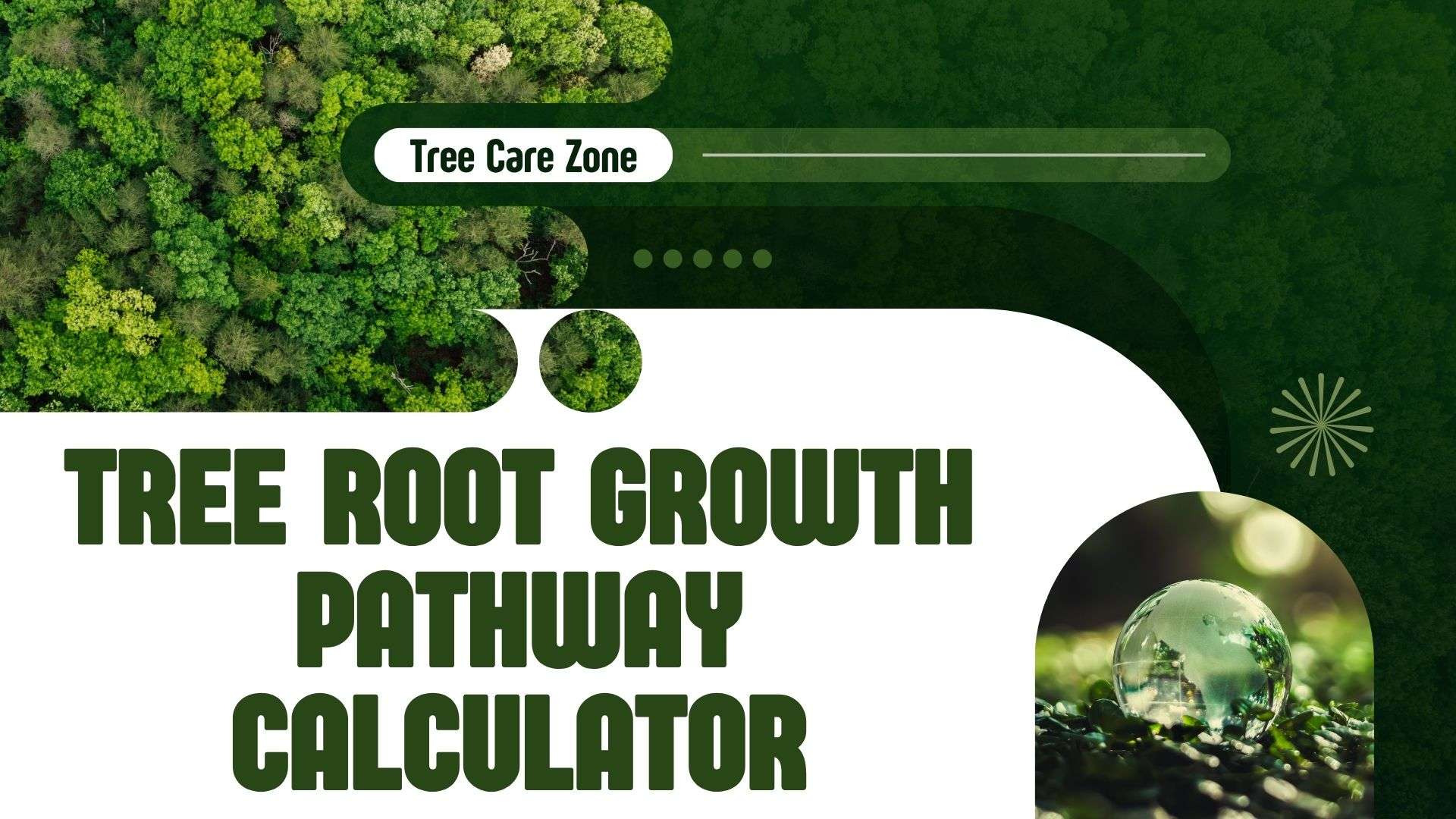 Tree Root Growth Pathway Calculator for Trees