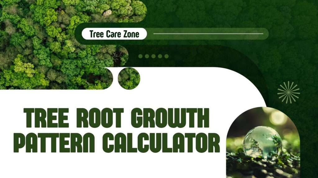 Tree Root Growth Pattern Calculator