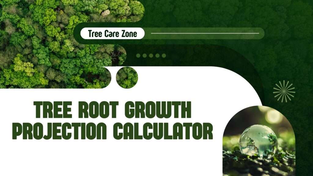 Tree Root Growth Projection Calculator