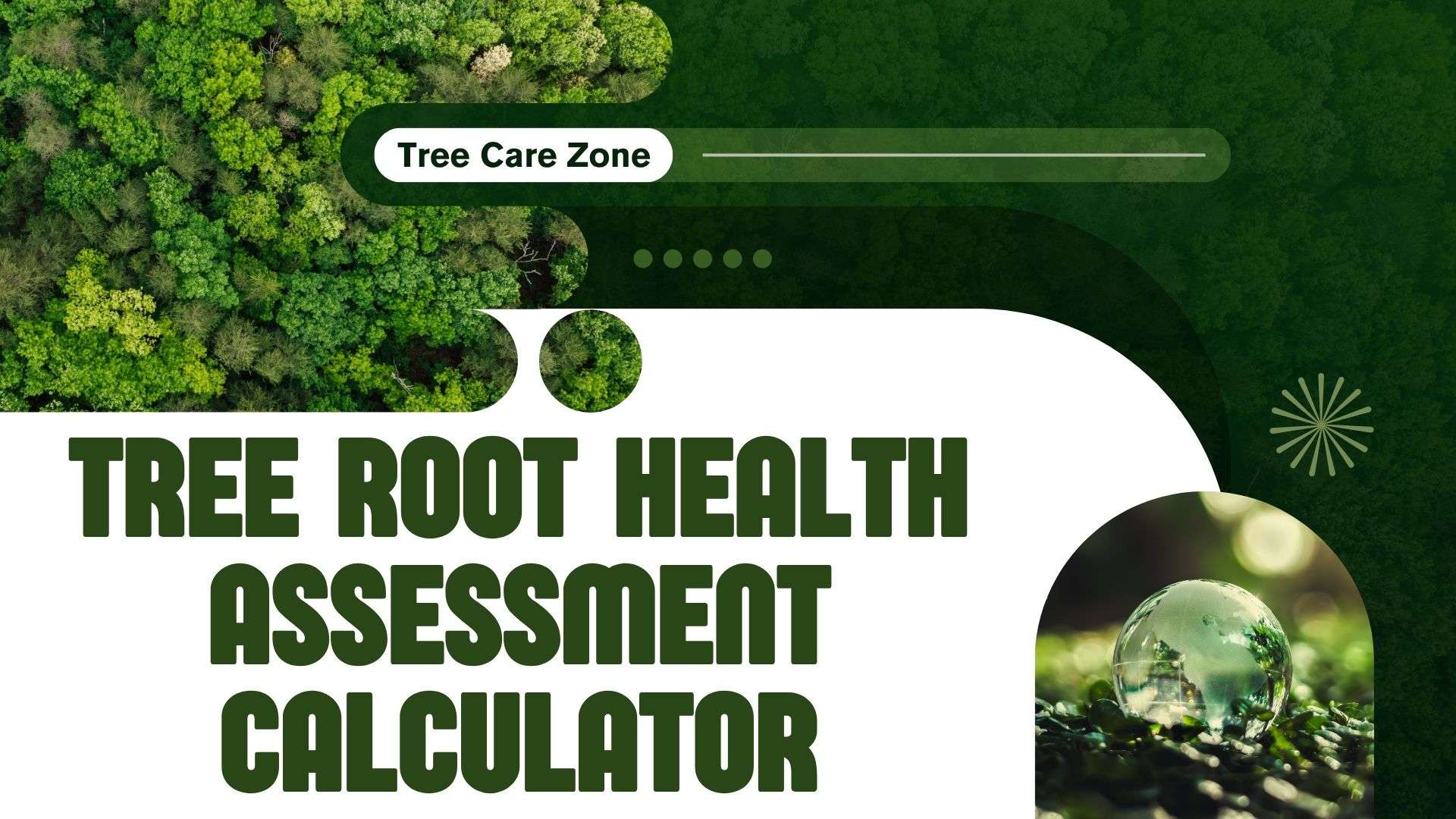 Tree Health Analysis Tree Root Health Assessment Calculator for Trees
