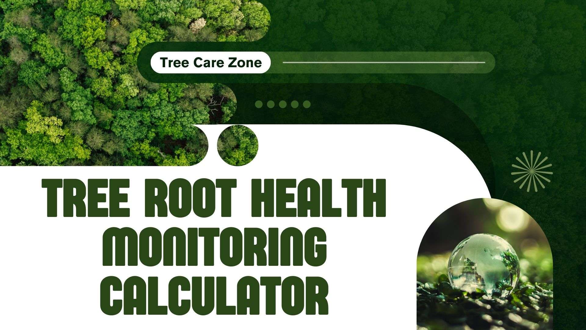Tree Health Data Tree Root Health Monitoring Calculator for Tree Care