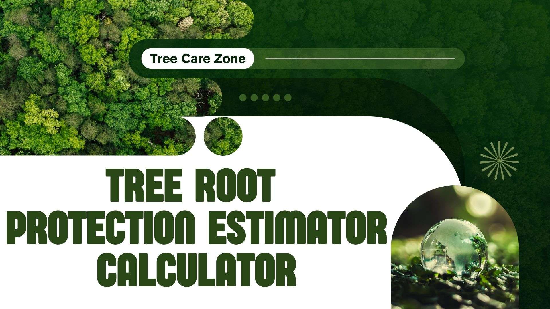 Tree Root Protection Estimator Calculator for Trees