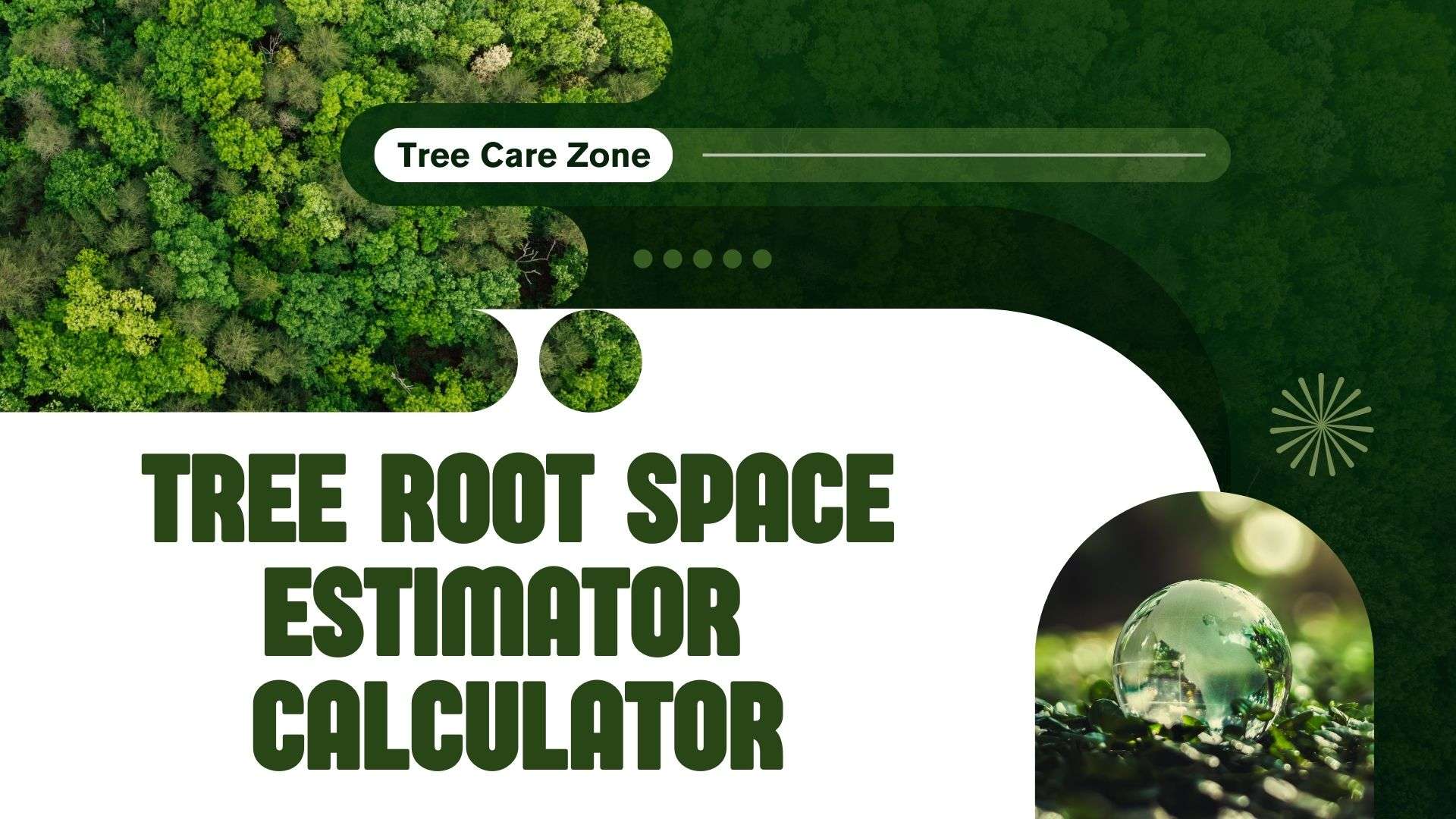 Root Space Module Tree Root Space Estimator Calculator for Tree Protection