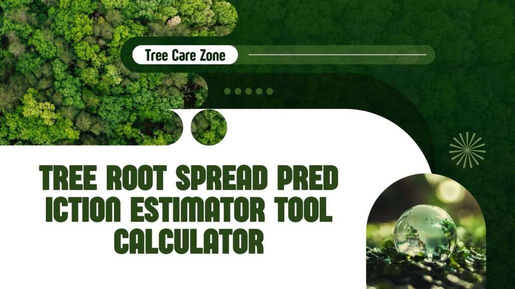 Tree Root Spread Prediction Estimator Tool Calculator