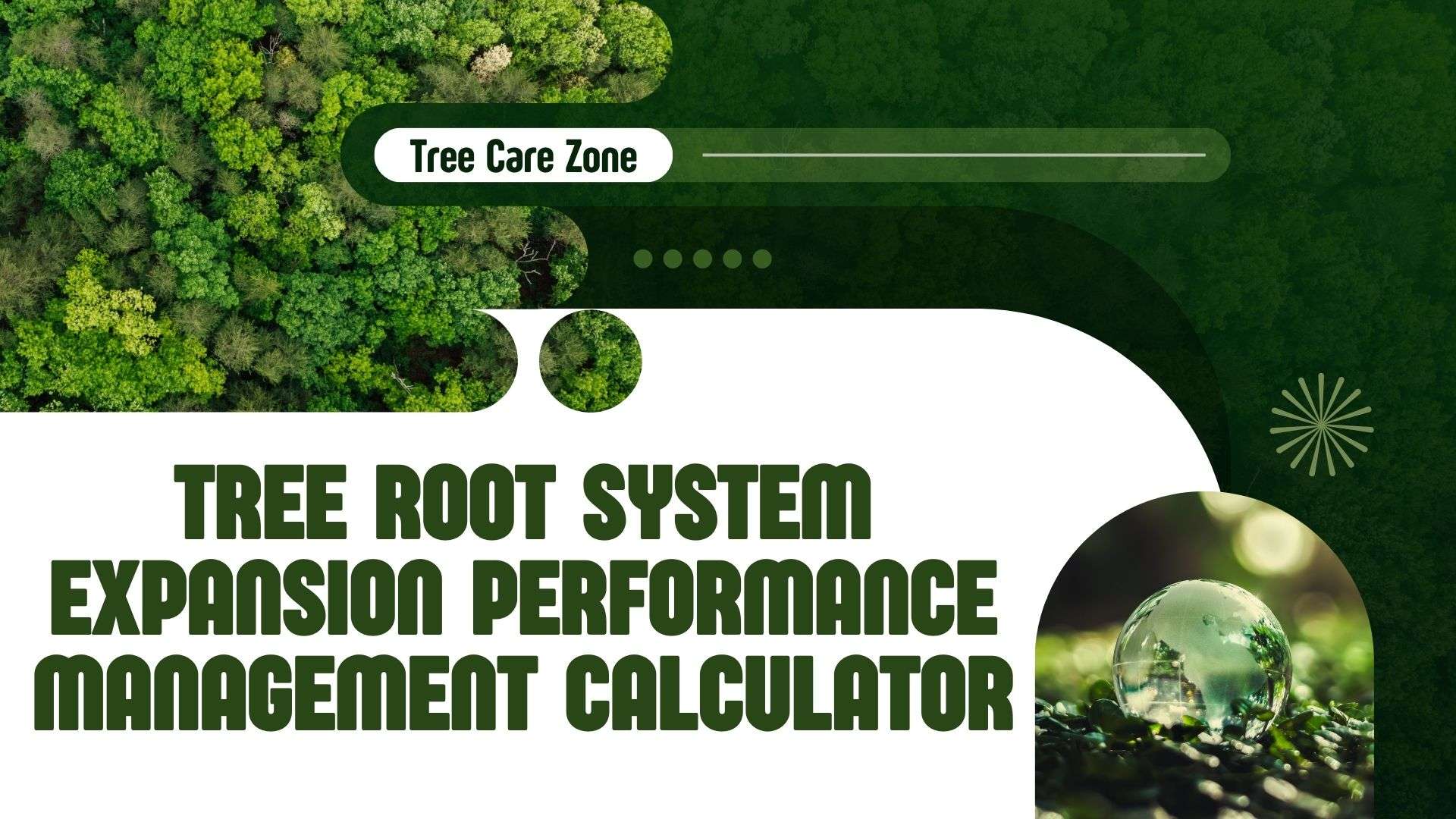 Tree Management Plus Tree Root System Expansion Performance Management Calculator