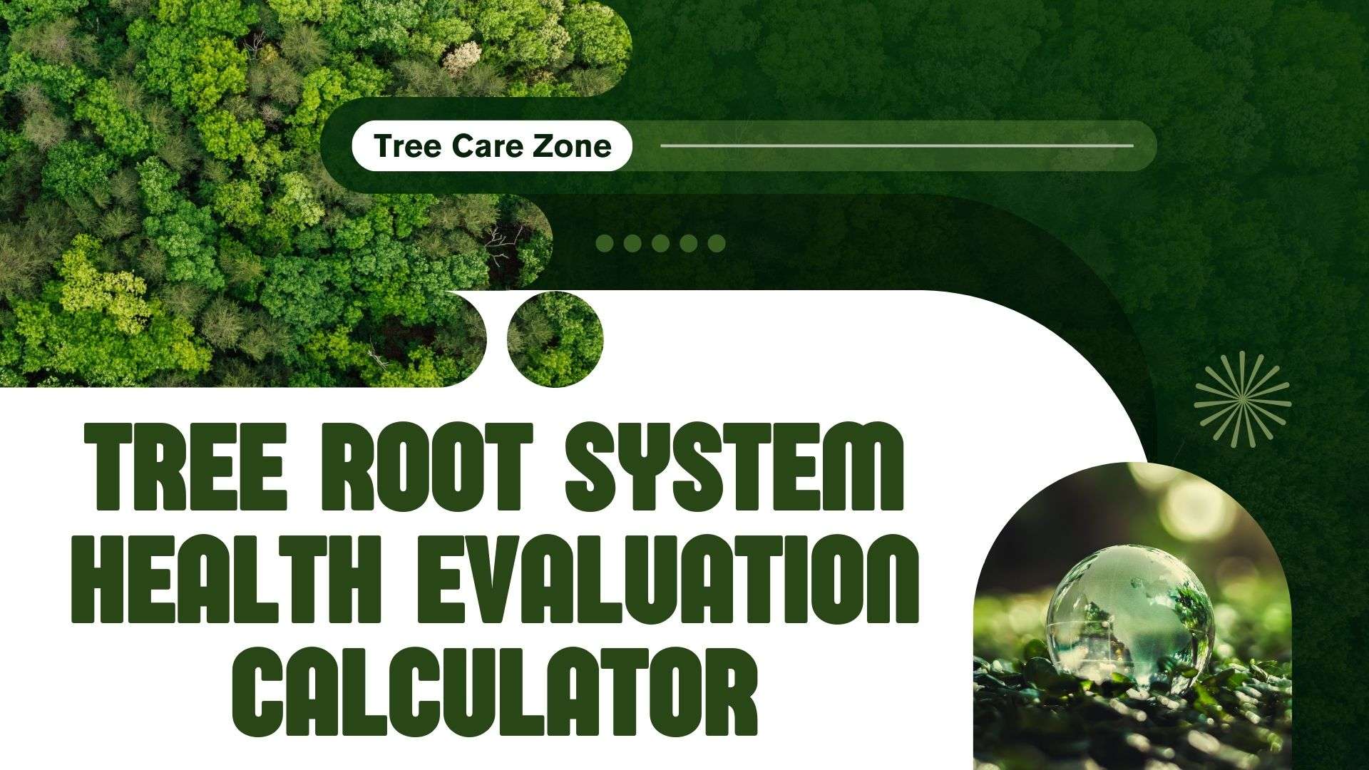 Tree Health Assessment Rott Tree Root System Health Evaluation Calculator Guide