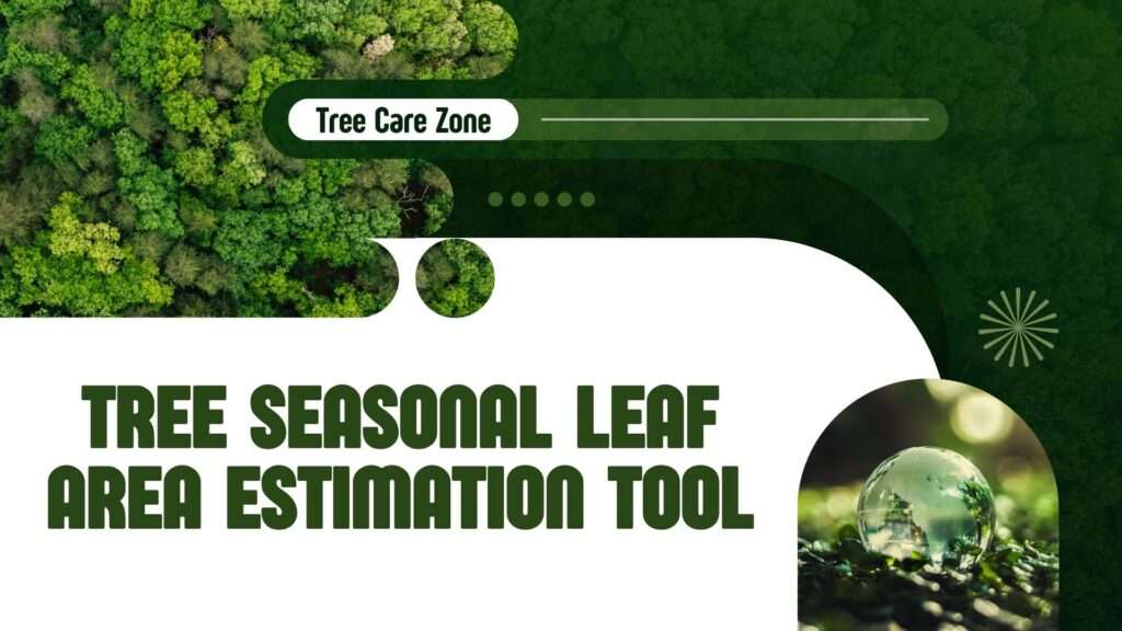 Tree Seasonal Leaf Area Estimation Tool