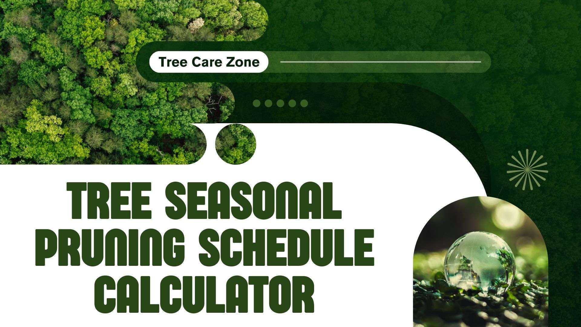 Tree Seasonal Pruning Schedule Calculator for Trees