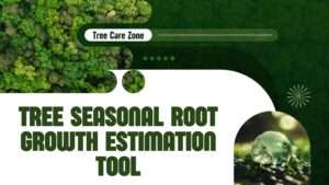 Tree Seasonal Root Growth Estimation Tool