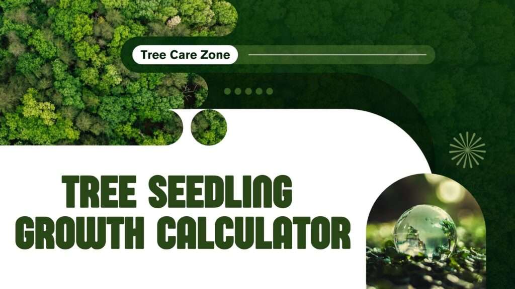 Tree Seedling Growth Calculator