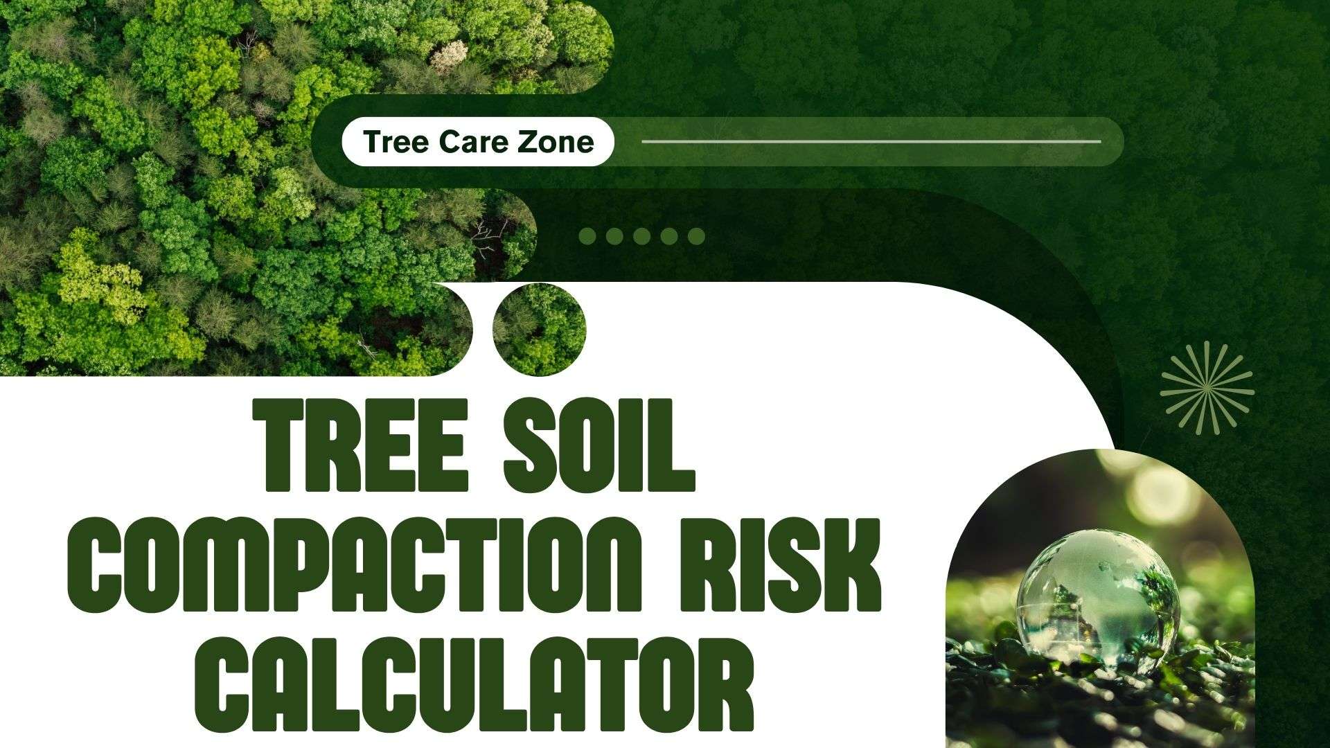 Tree Soil Compaction Risk Calculator: Assess Tree Health