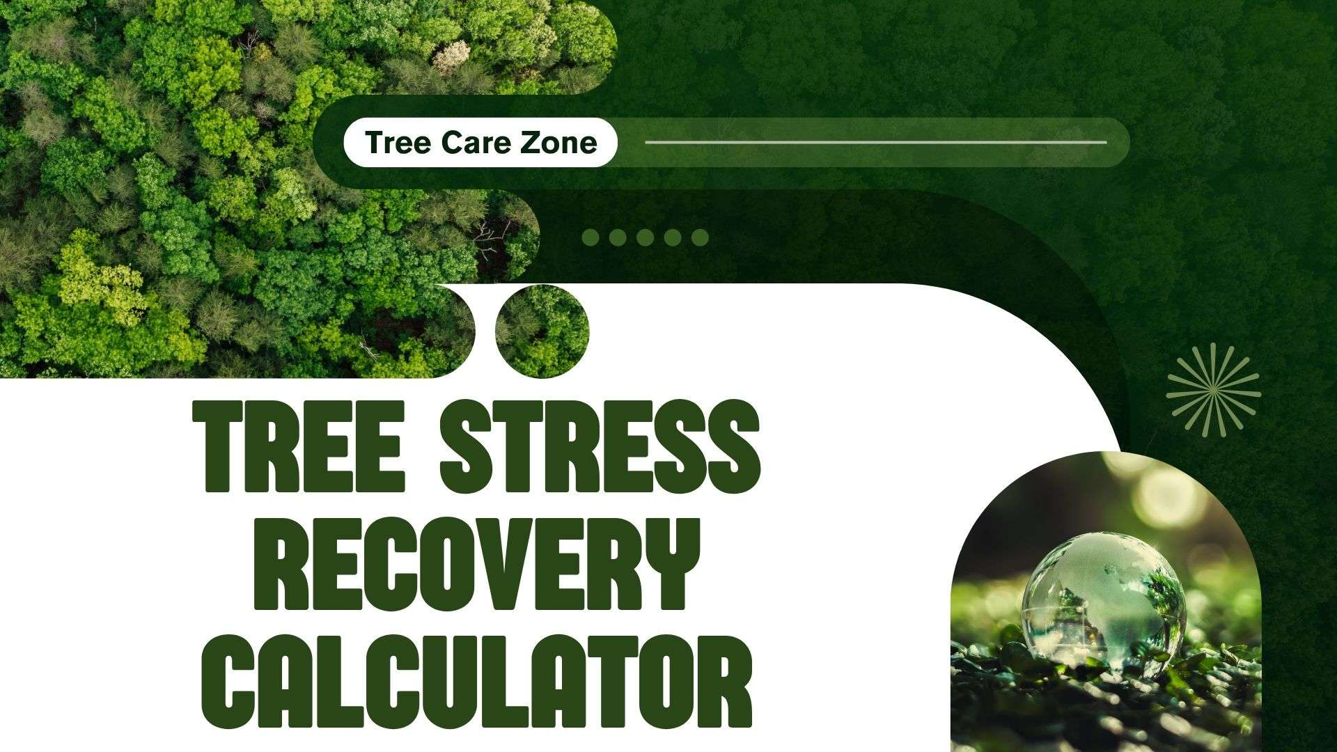 Recovery Tree Tree Stress Recovery Calculator: Assess Tree Health