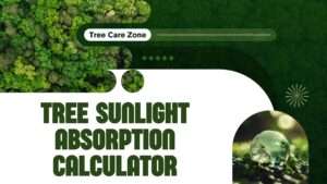 Tree Sunlight Absorption Calculator