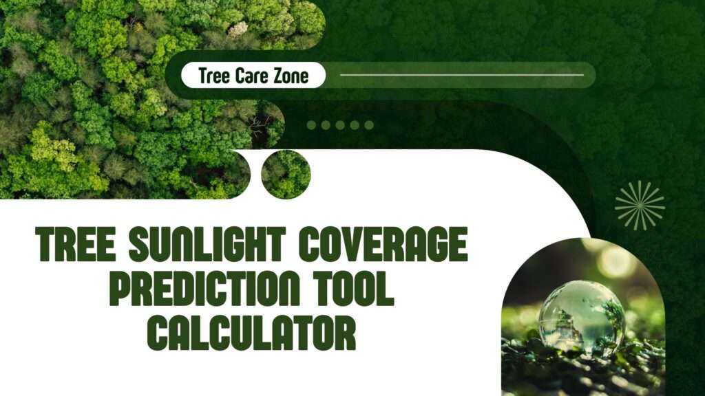Tree Sunlight Coverage Prediction Tool Calculator