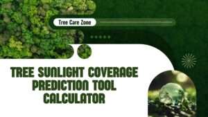 Tree Sunlight Coverage Prediction Tool Calculator