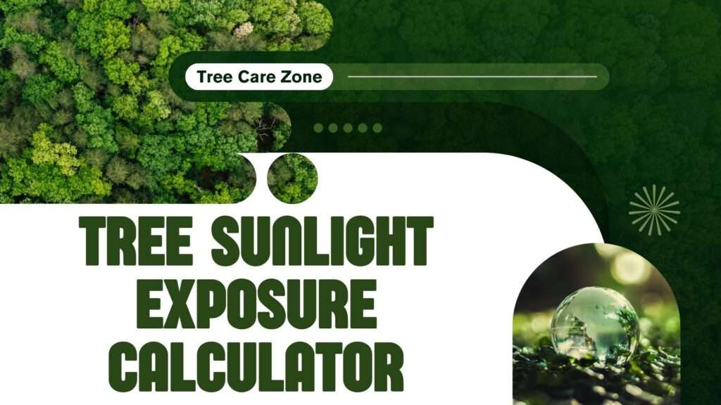 Tree Sunlight Exposure Calculator
